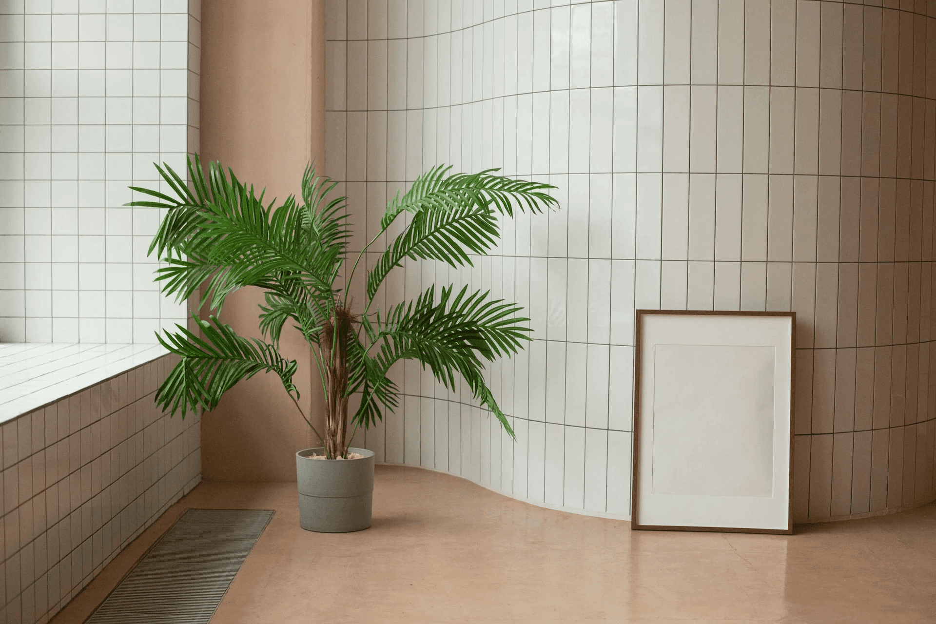 House Palm Plant